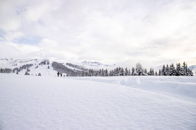 Un paysage de neige dans les Bauges